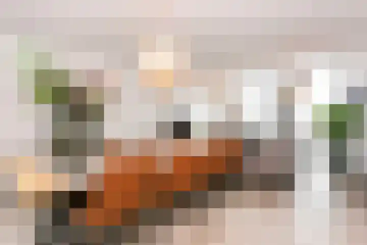 Moskeeplein 74 Utrecht thumbnail 24