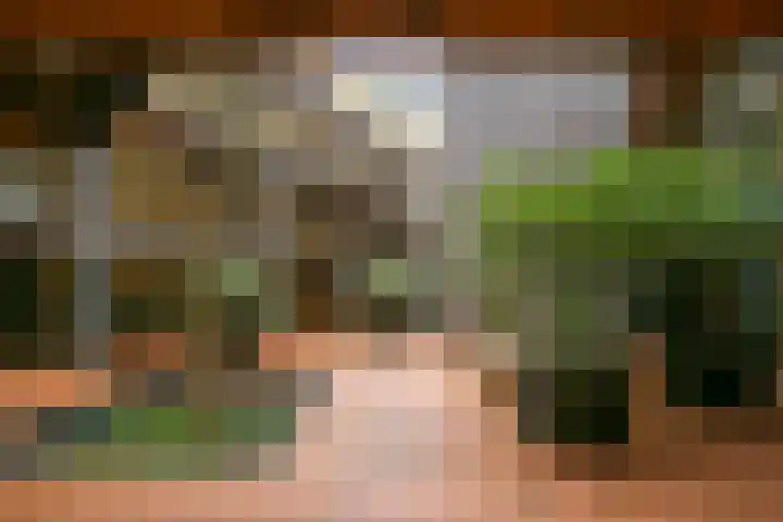 Moskeeplein 74 Utrecht thumbnail 41