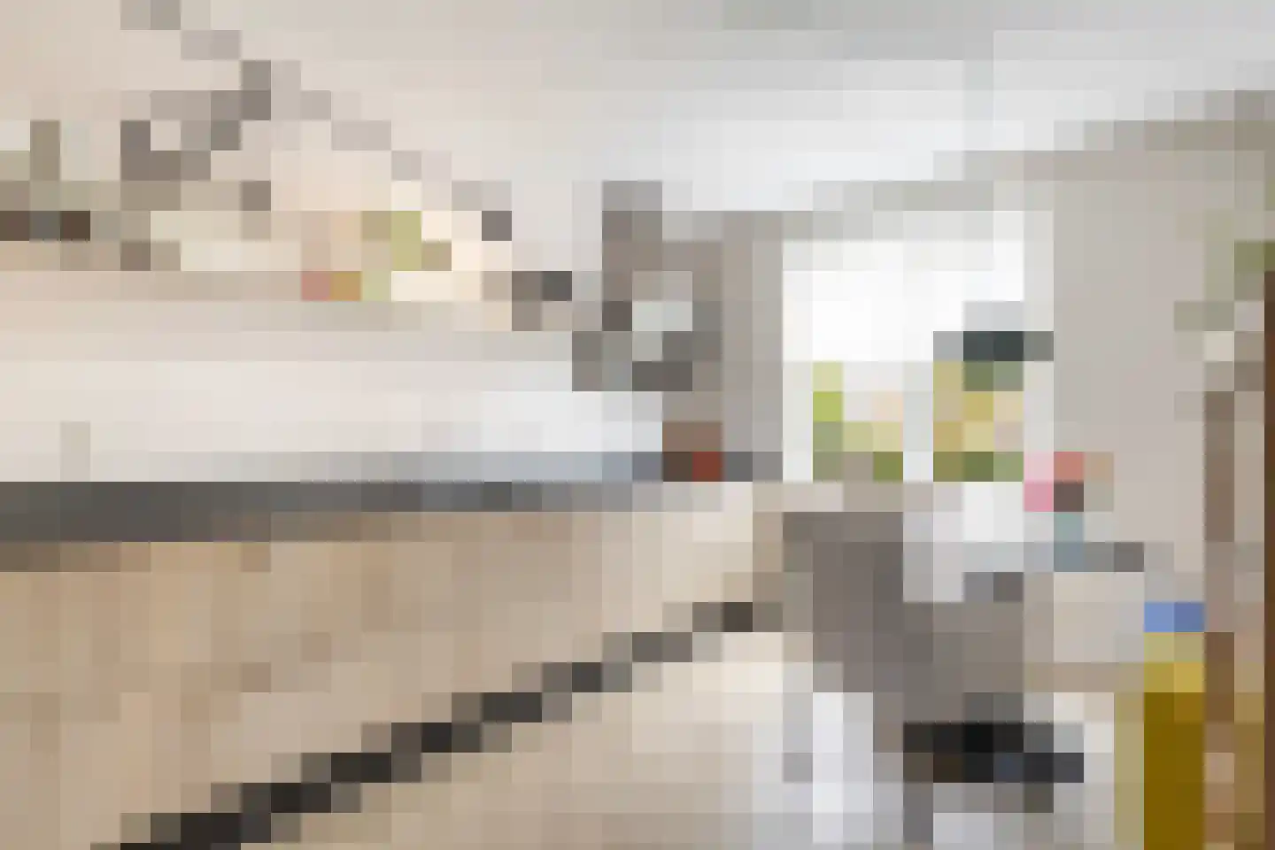 Mosklokje 13 Apeldoorn thumbnail 13