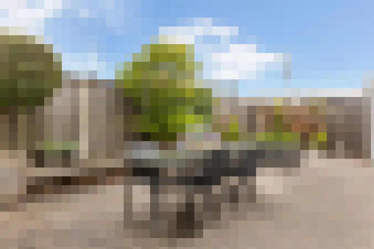 Mosklokje 13 Apeldoorn thumbnail 32