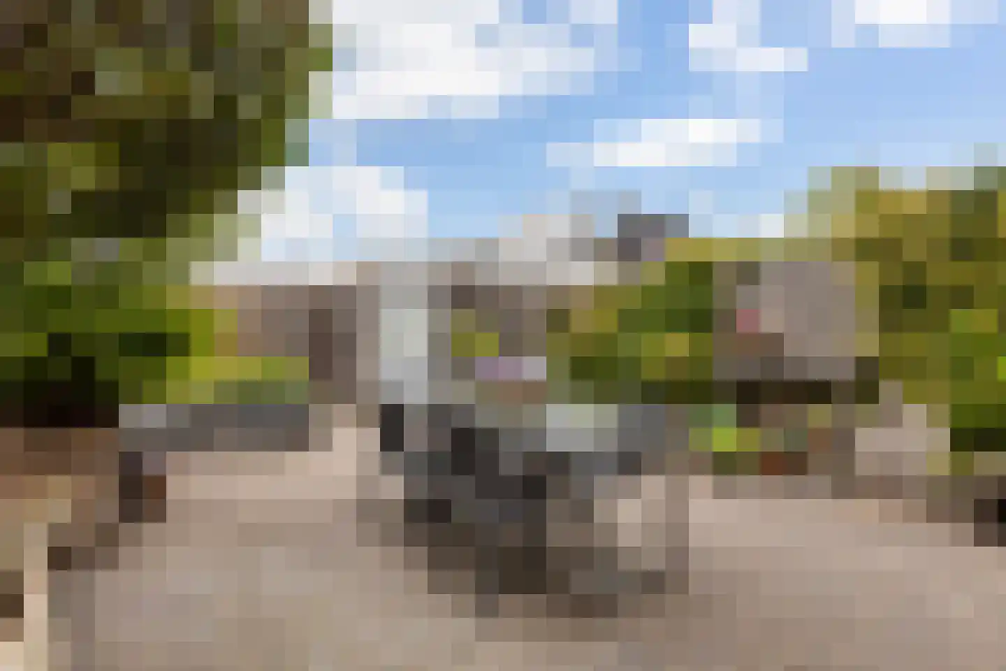 Mosklokje 13 Apeldoorn thumbnail 33