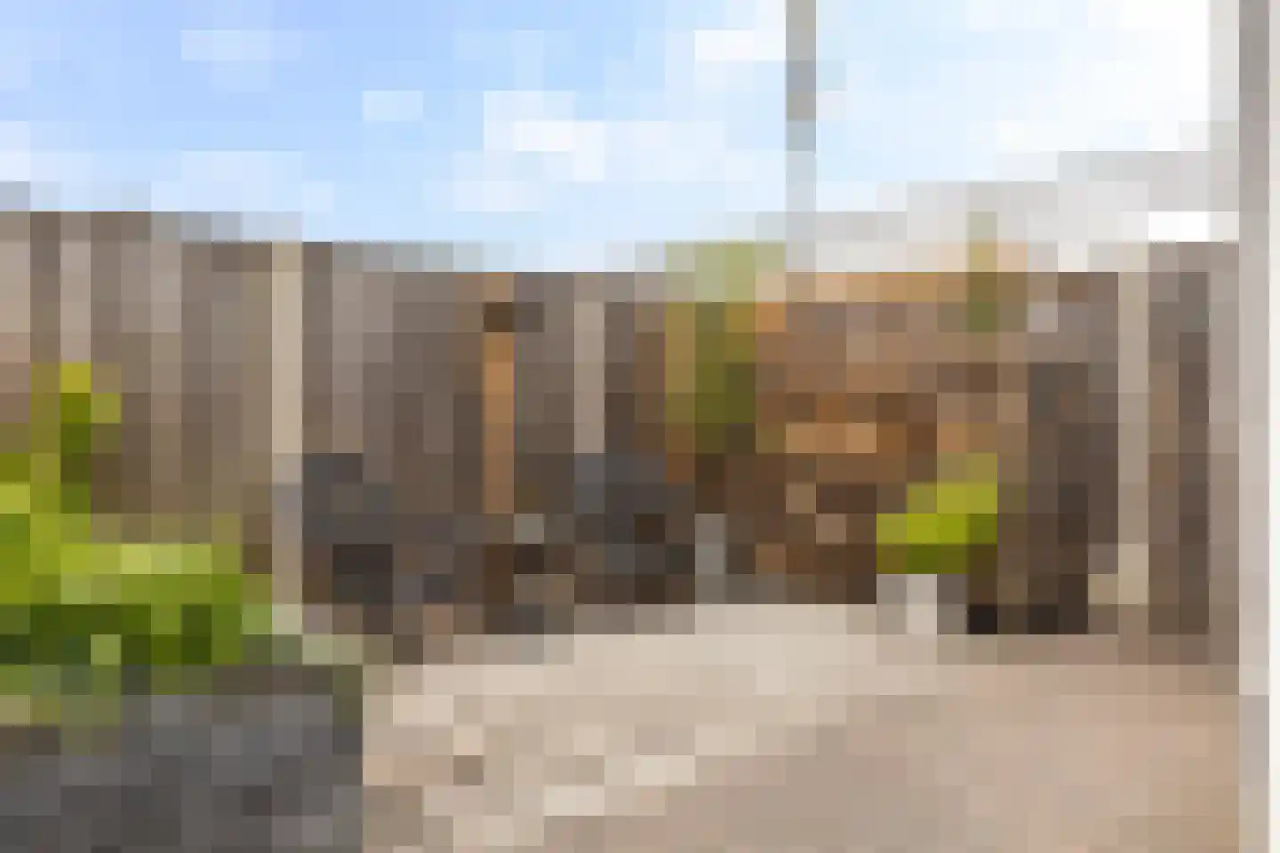 Mosklokje 13 Apeldoorn thumbnail 34