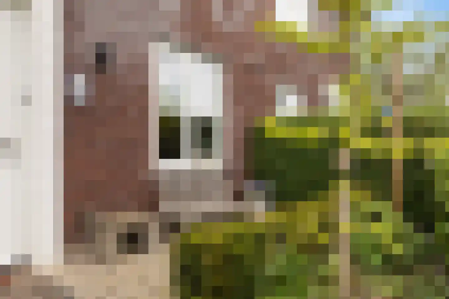 Mosklokje 13 Apeldoorn thumbnail 37