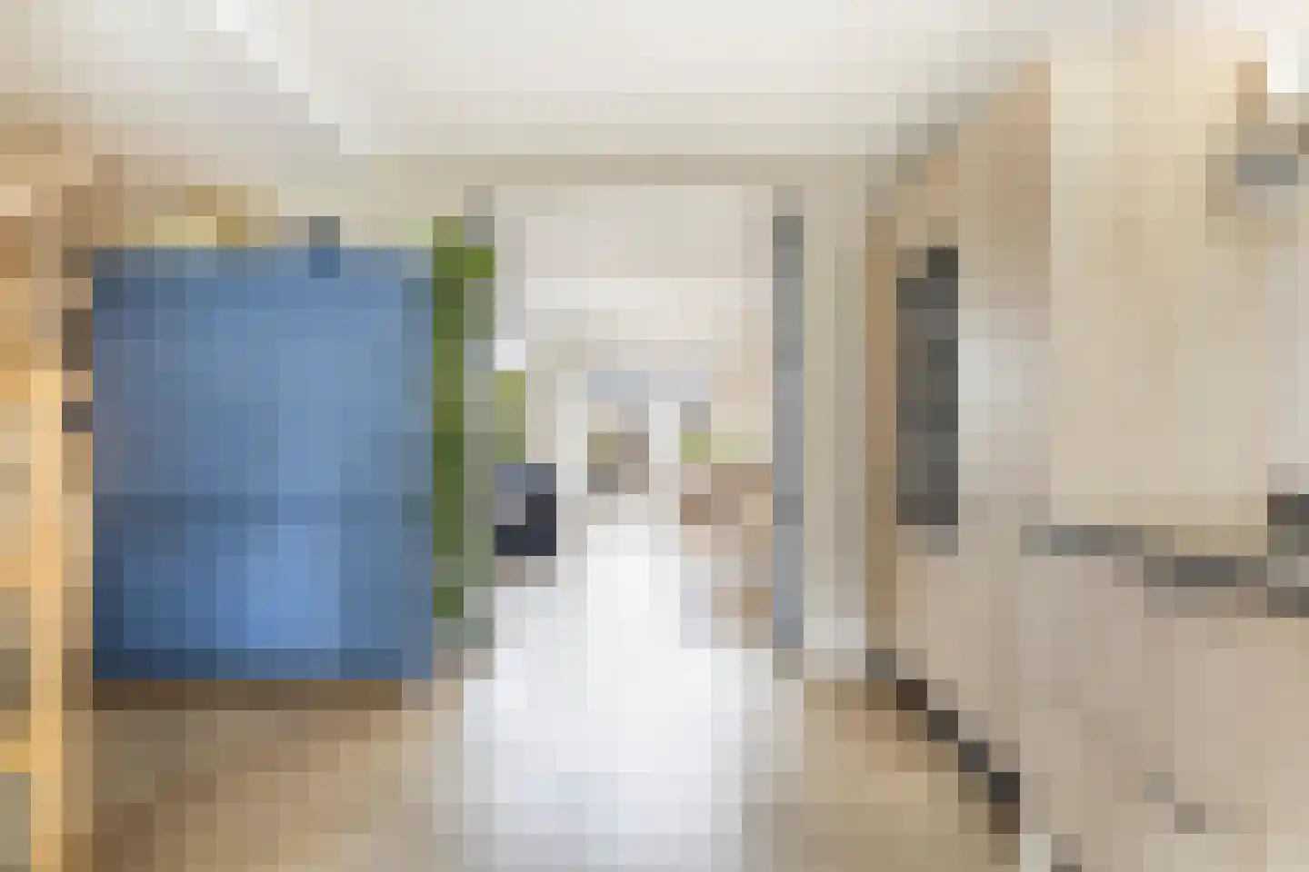 Mosklokje 13 Apeldoorn thumbnail 9