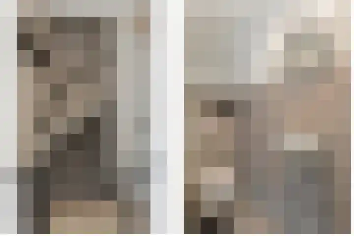 Mosklokje 39 in Apeldoorn