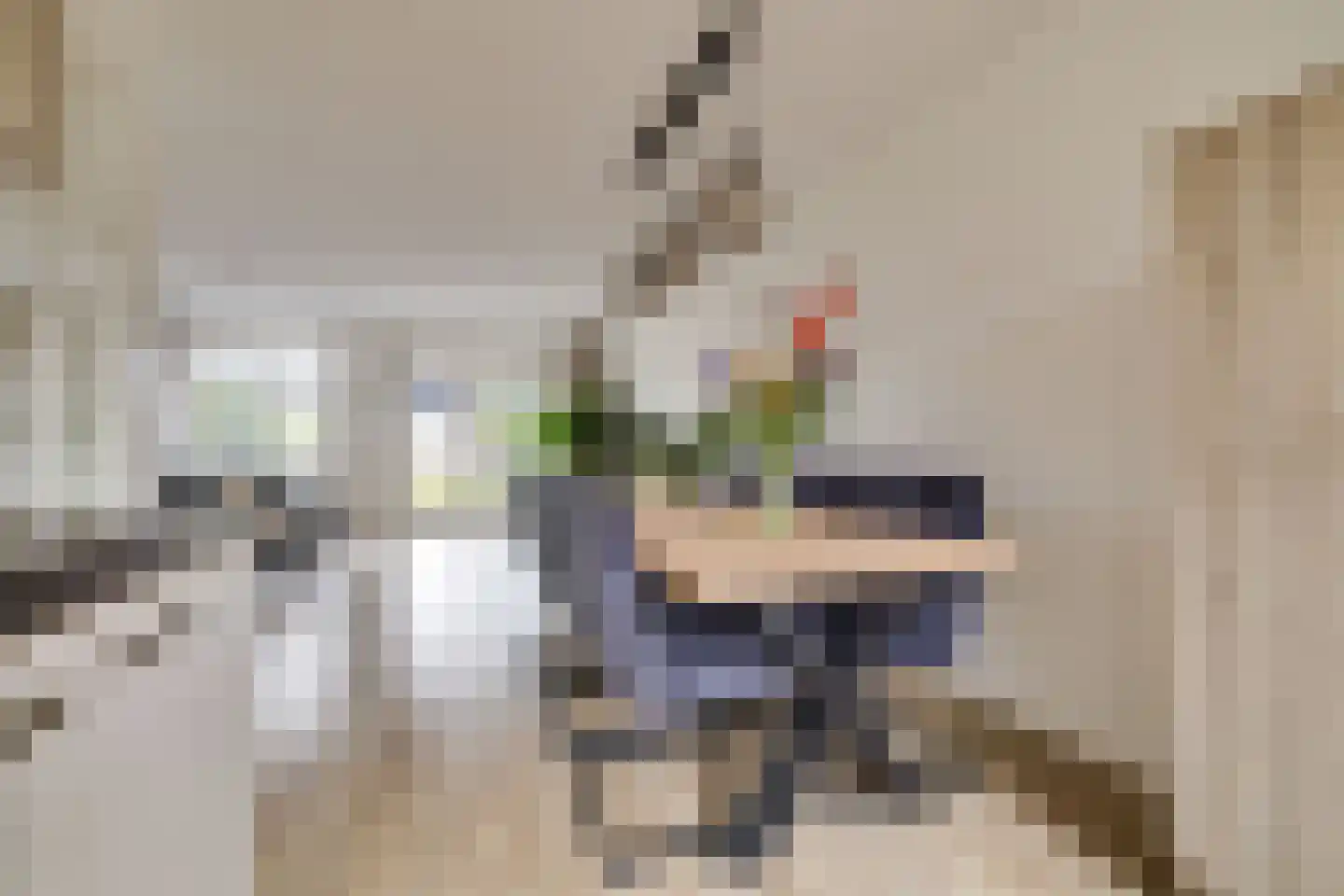 Mosklokje 9 Apeldoorn thumbnail 11