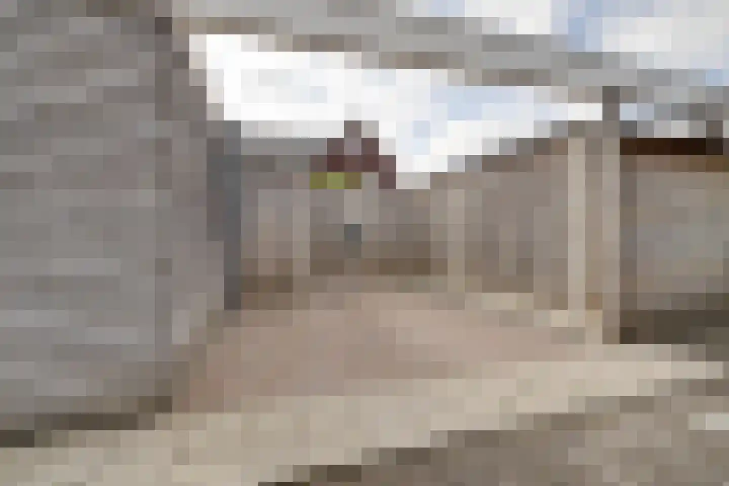 Mosklokje 9 Apeldoorn thumbnail 36