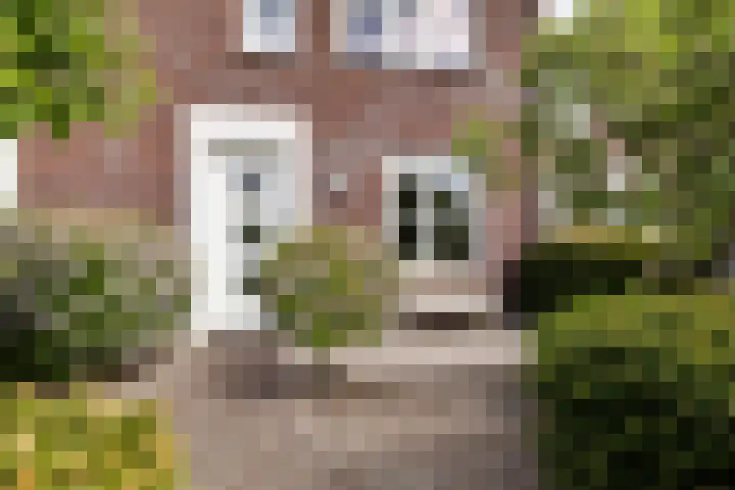 Mosklokje 9 Apeldoorn thumbnail 38