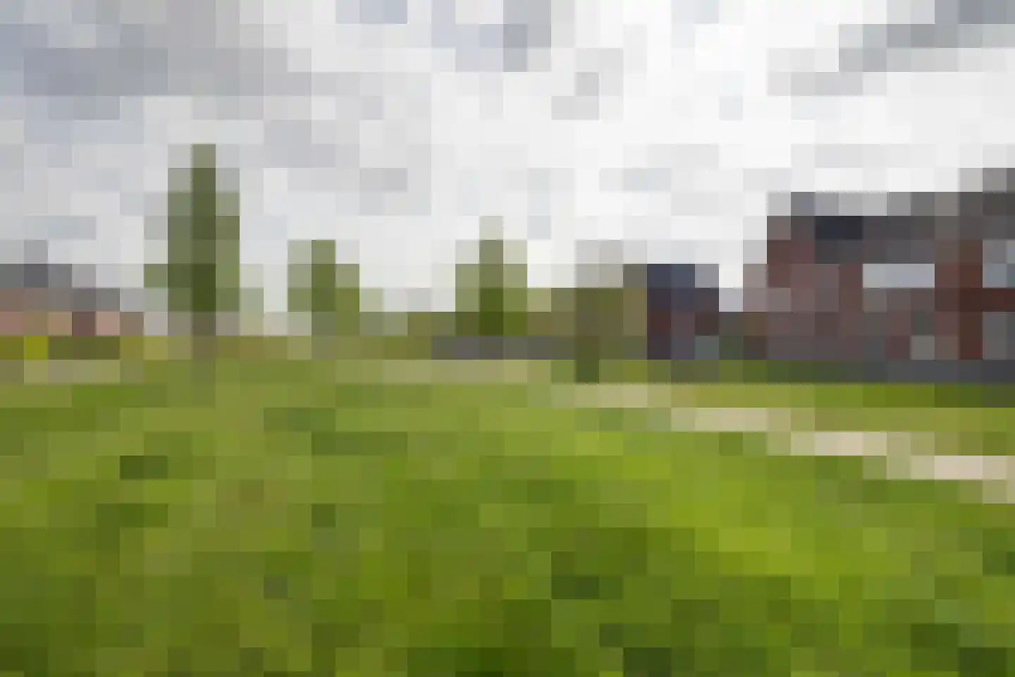 Mosklokje 9 Apeldoorn thumbnail 41