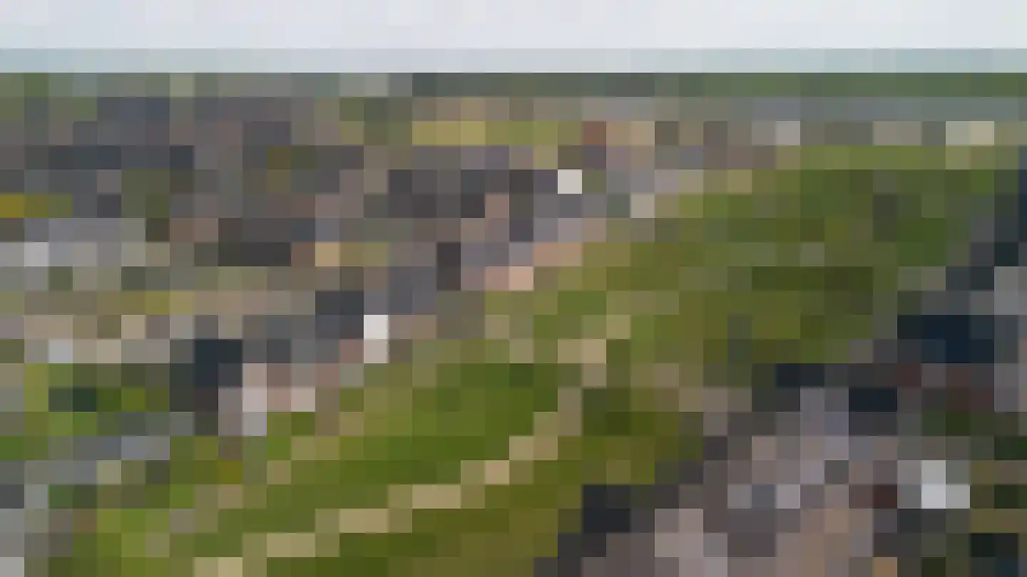 Mosklokje 9 Apeldoorn thumbnail 42