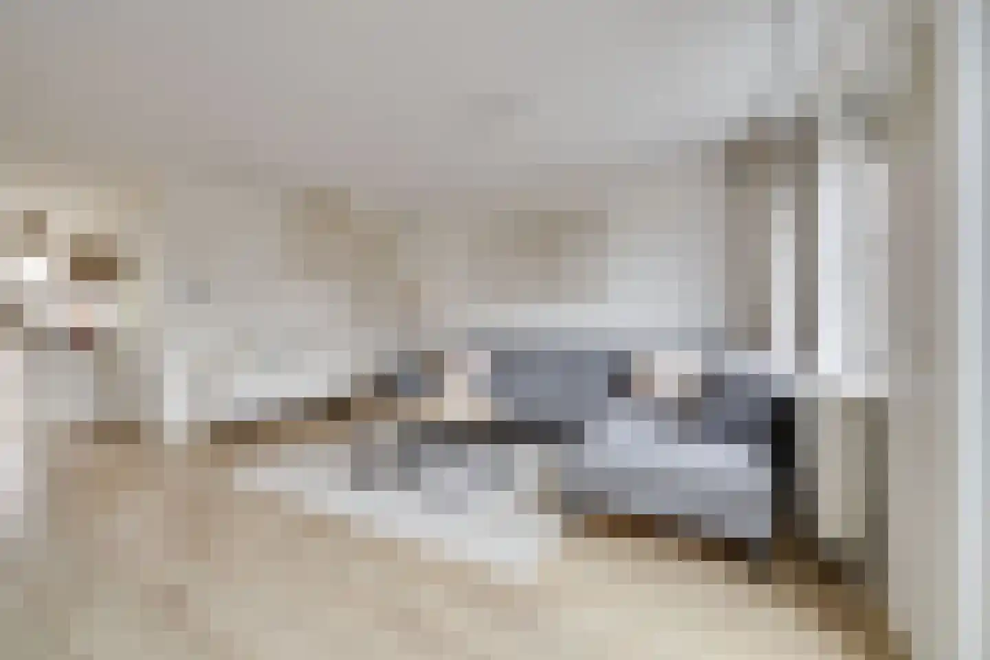 Mosklokje 9 Apeldoorn thumbnail 6