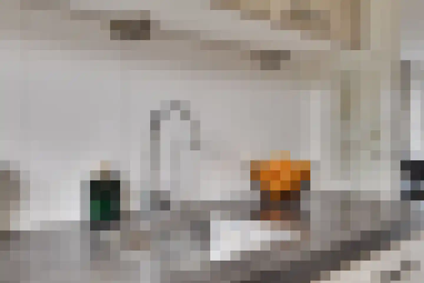 Mosklokje 9 Apeldoorn thumbnail 9