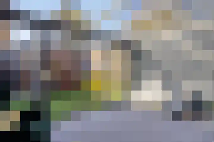 Moskousingel 1 Den Haag thumbnail 6