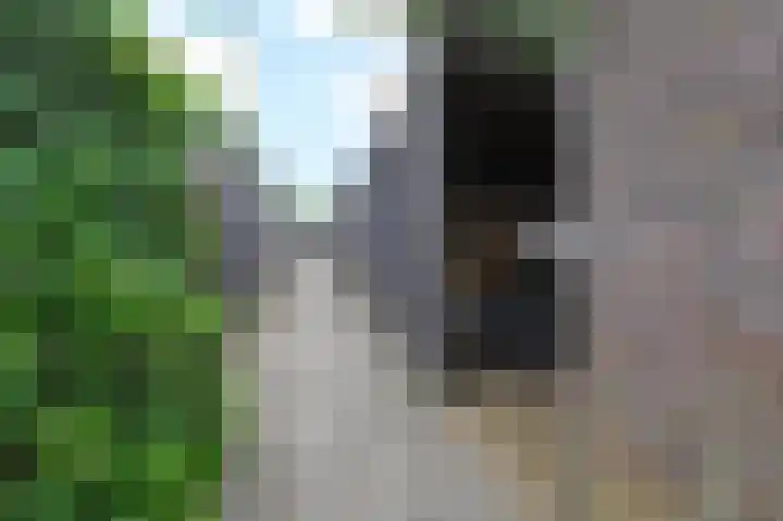 Moskousingel 23 Den Haag thumbnail 18