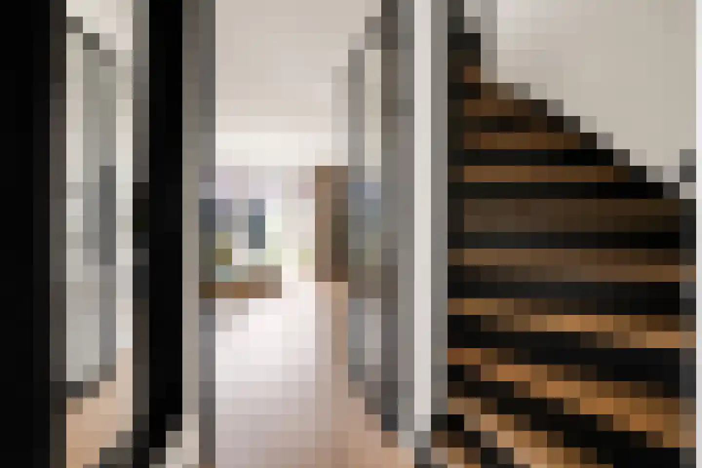 Moskousingel 39 Den Haag thumbnail 4