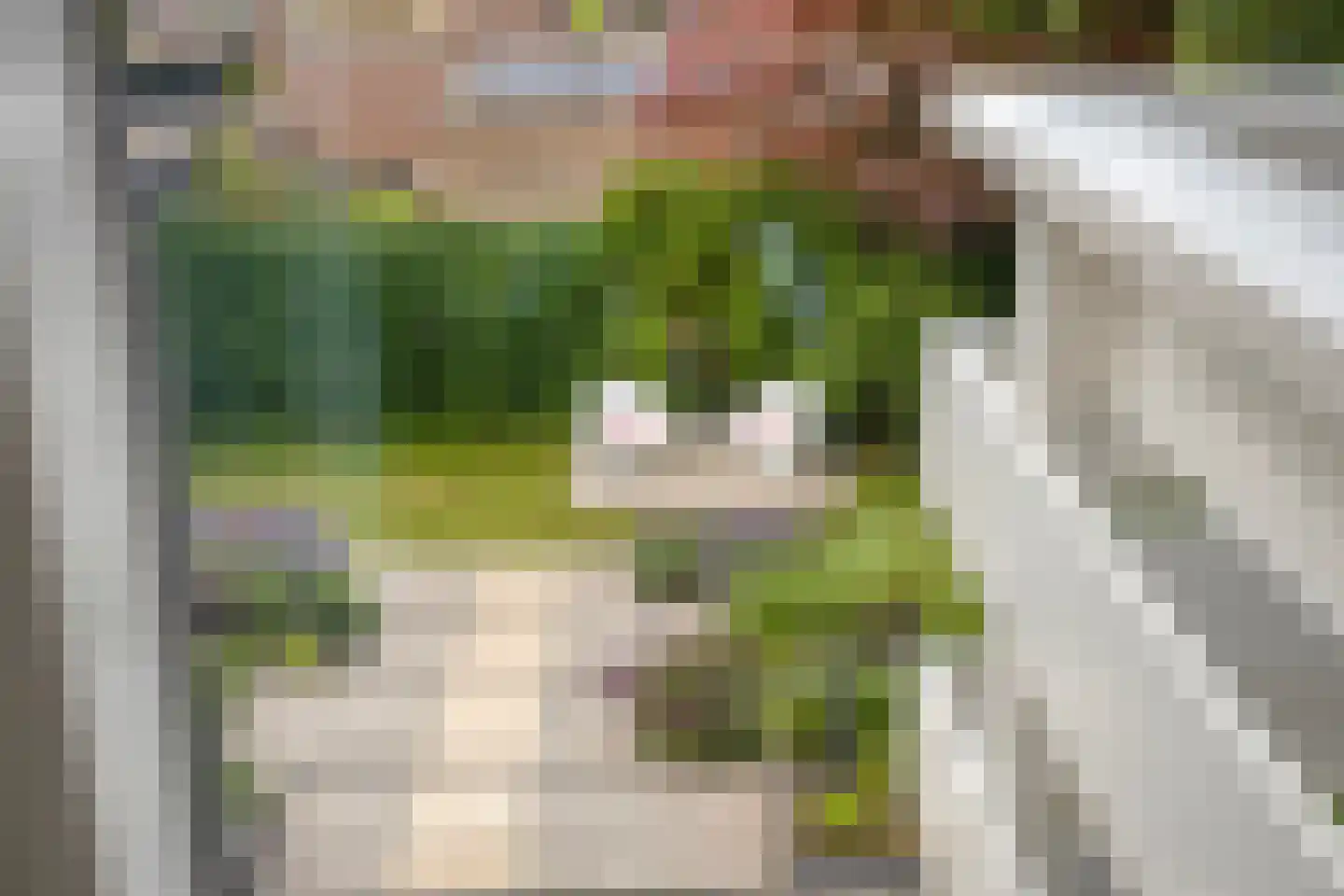 Moslaan 18 Arnhem thumbnail 49