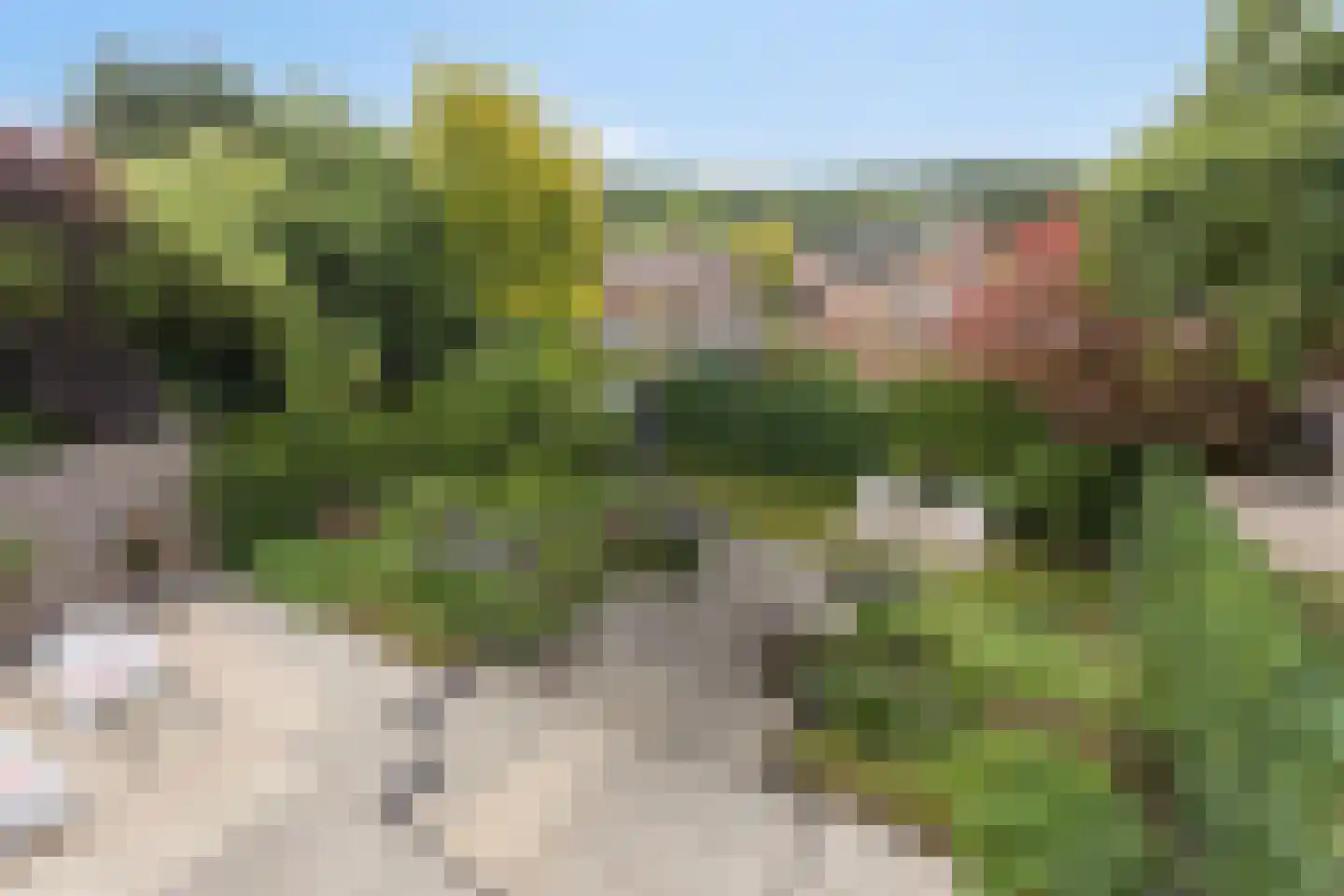 Moslaan 18 Arnhem thumbnail 50