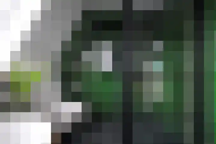 Moslaan 21 Ermelo thumbnail 34