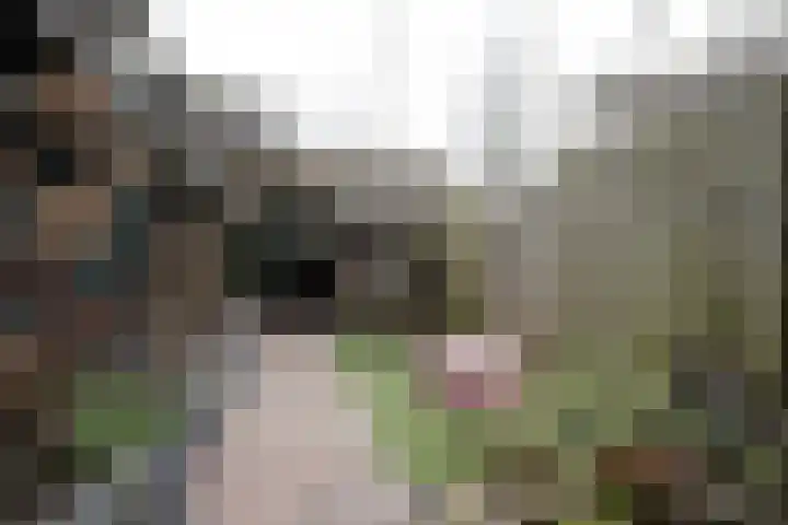 Moslaan 21 Ermelo thumbnail 52