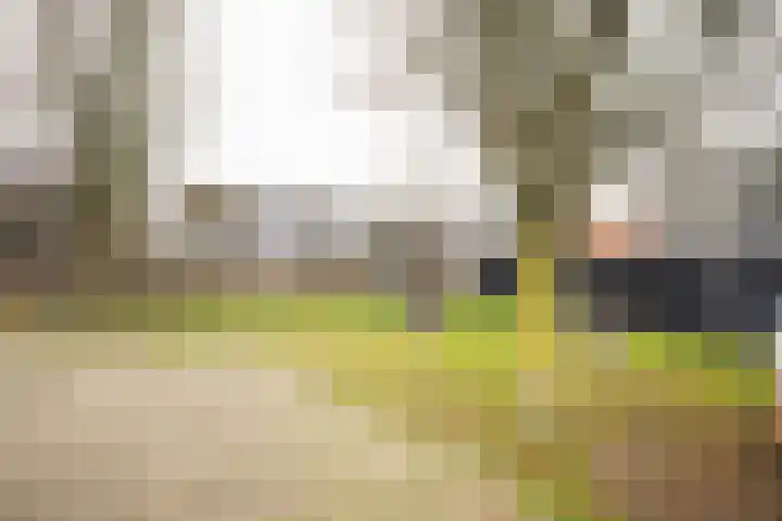 Moslaan 21 Ermelo thumbnail 54