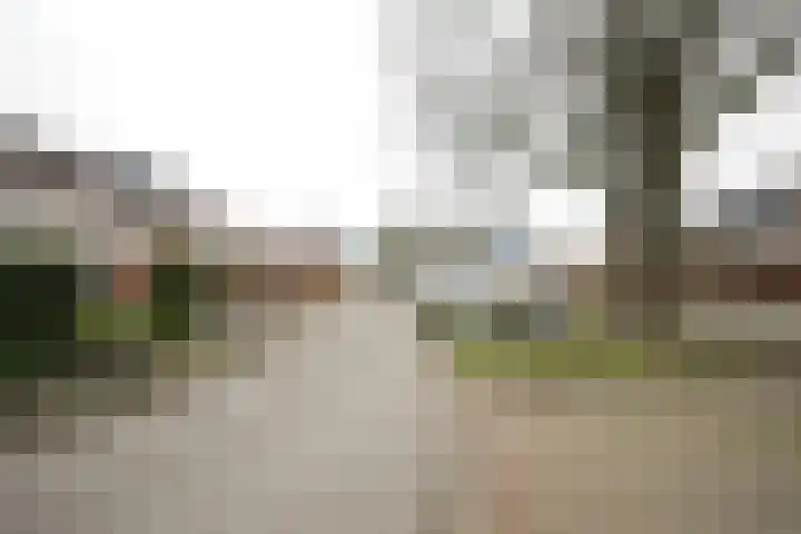 Moslaan 21 Ermelo thumbnail 55