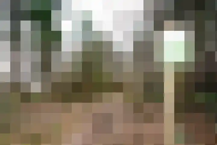Moslaan 21 Ermelo thumbnail 56