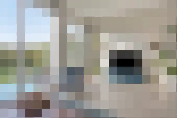 Moslaan 22 Arnhem thumbnail 10