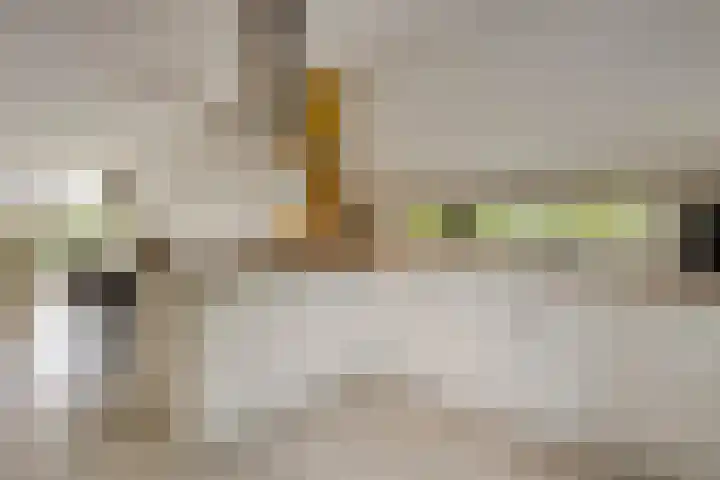 Moslaan 22 Arnhem thumbnail 19