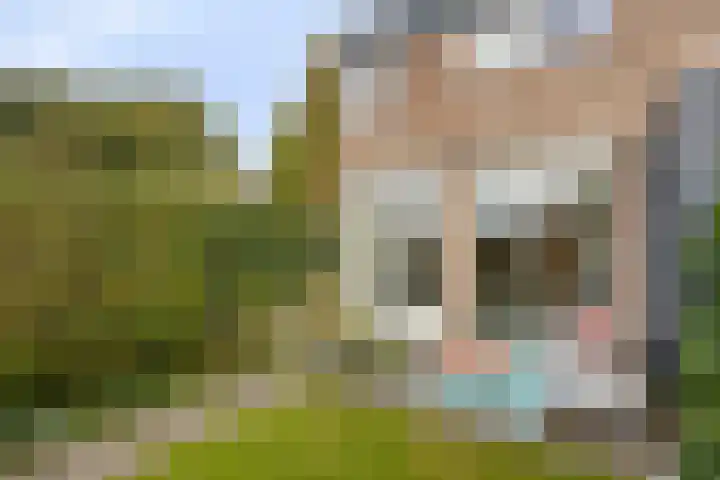 Moslaan 22 Arnhem thumbnail 31