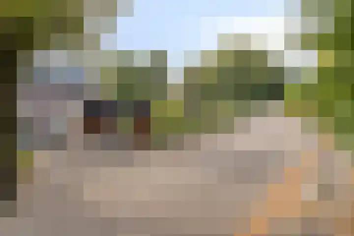 Moslaan 22 Arnhem thumbnail 34