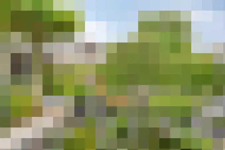 Moslaan 24 Arnhem thumbnail 48