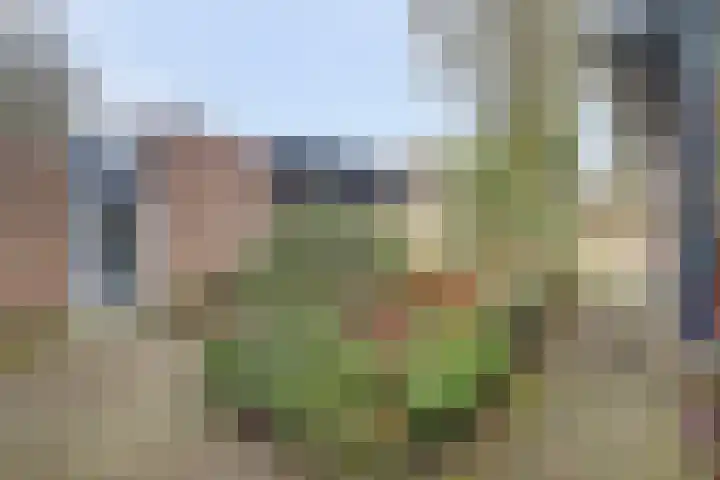 Moslaan 24 Arnhem thumbnail 7