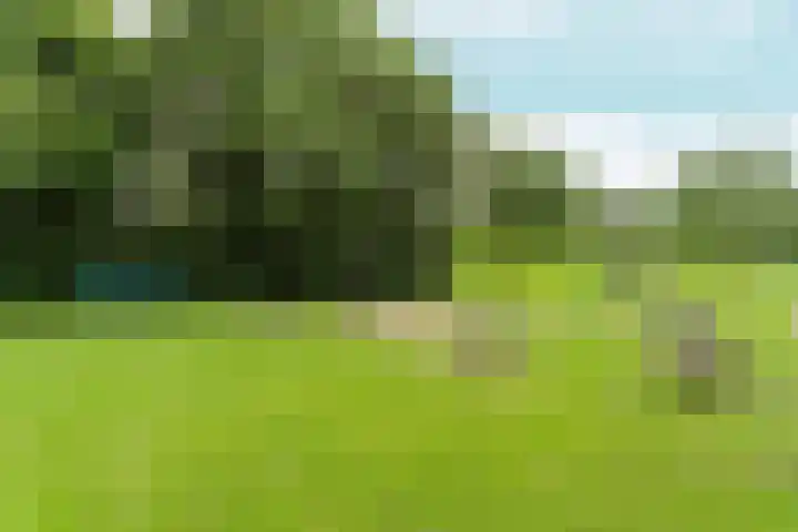 Moslaan 24 Arnhem thumbnail 8