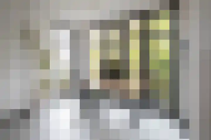 Moslaan 40 Kudelstaart thumbnail 14