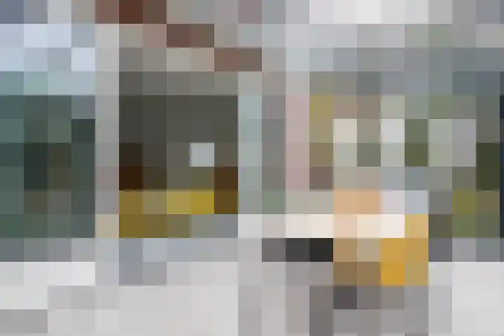 Moslaan 40 Kudelstaart thumbnail 18