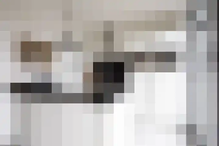 Moslaan 40 Kudelstaart thumbnail 21