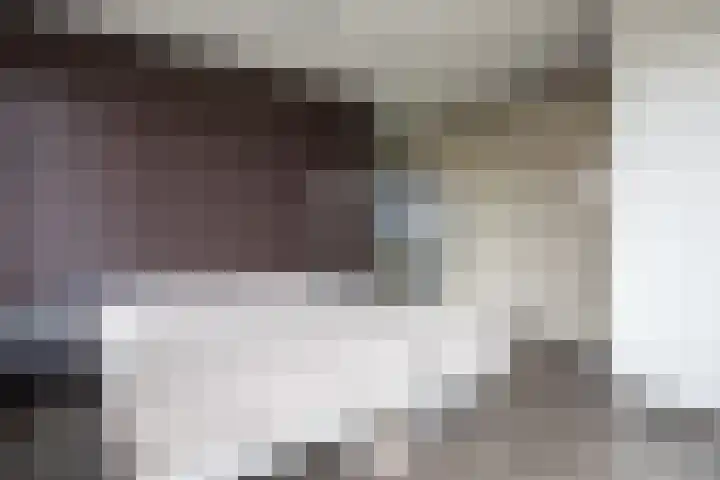 Moslaan 40 Kudelstaart thumbnail 24