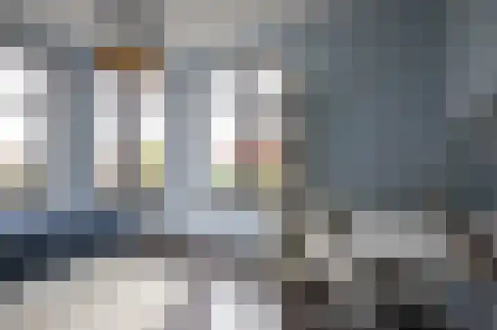 Moslaan 40 Kudelstaart thumbnail 26