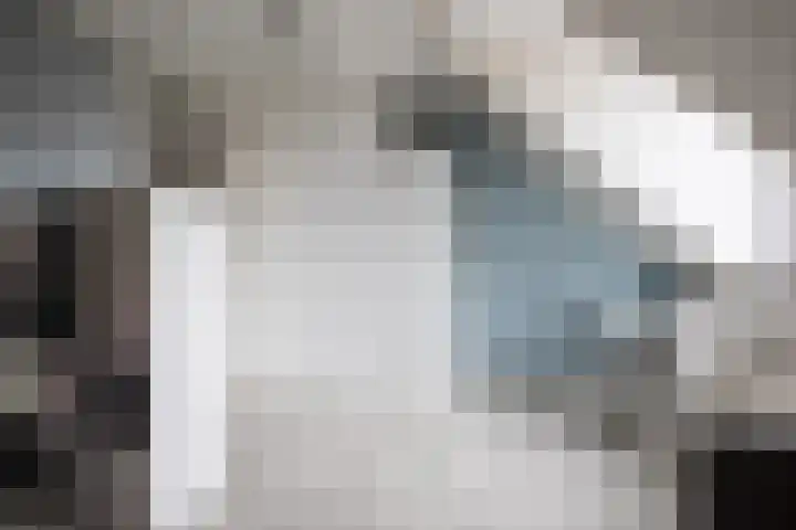Moslaan 40 Kudelstaart thumbnail 34
