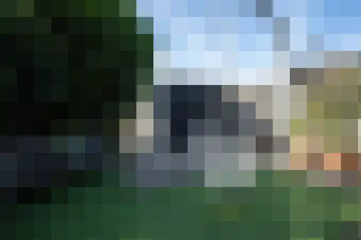 Moslaan 40 Kudelstaart thumbnail 38