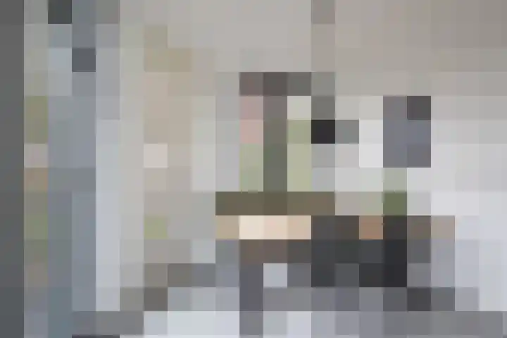 Moslaan 40 Kudelstaart thumbnail 4