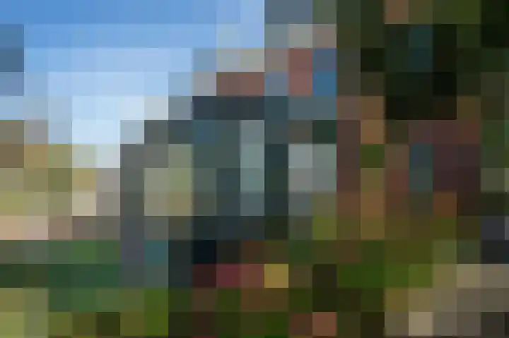 Moslaan 40 Kudelstaart thumbnail 41