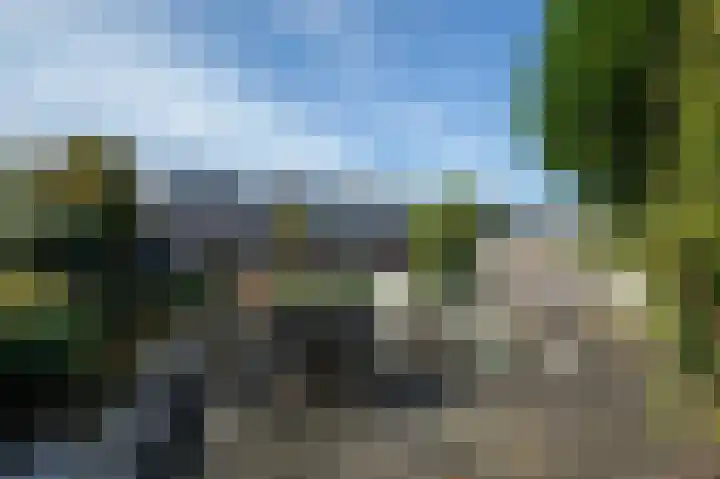 Moslaan 40 Kudelstaart thumbnail 43