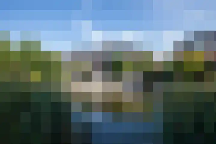 Moslaan 40 Kudelstaart thumbnail 44