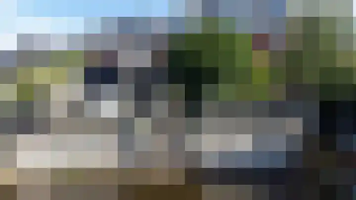 Moslaan 40 Kudelstaart thumbnail 45