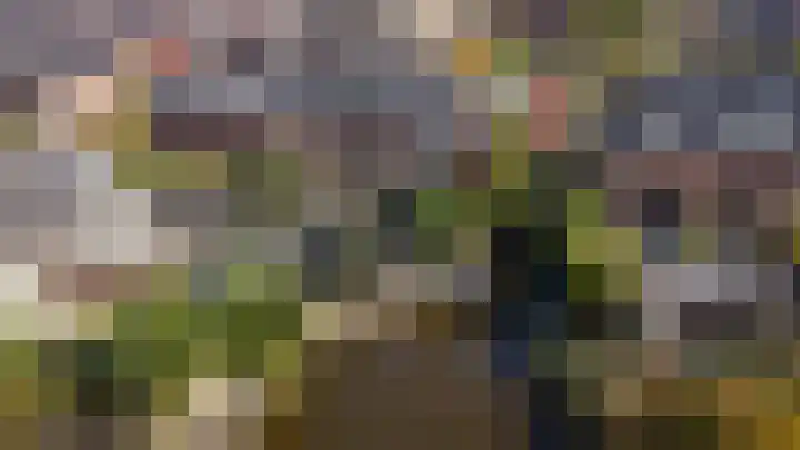 Moslaan 40 Kudelstaart thumbnail 46