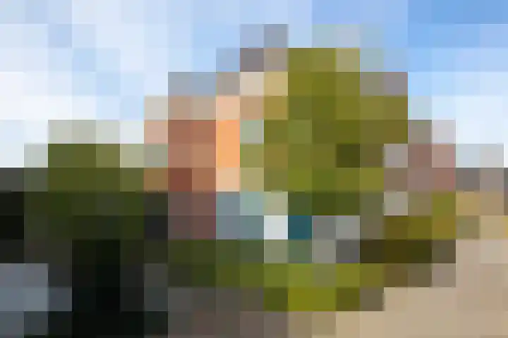 Moslaan 40 Kudelstaart thumbnail 7