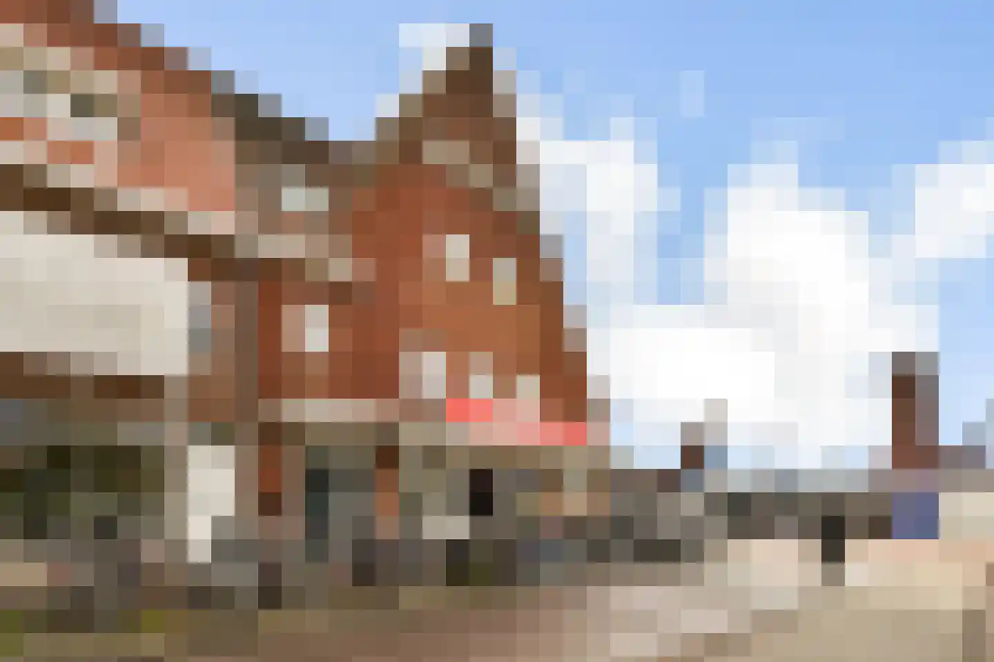 Mosplein 18 A Amsterdam thumbnail 18