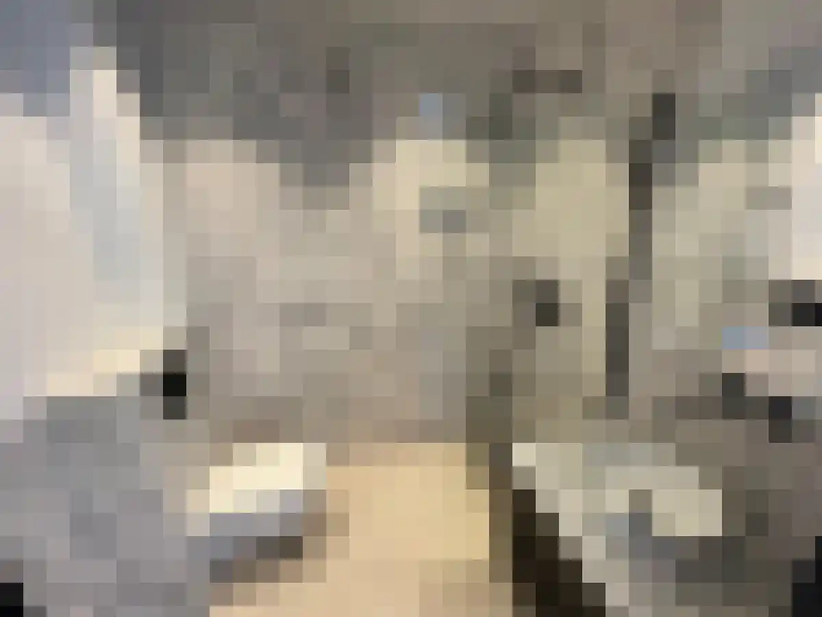 Mosplein 22 Amsterdam thumbnail 6
