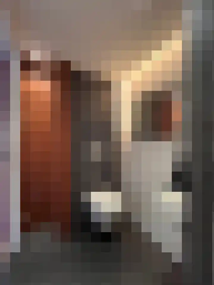 Mosroos 10 Leiden thumbnail 10